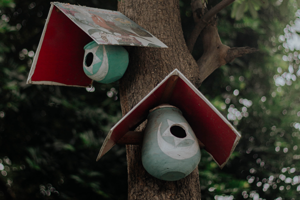 DIY Birdhouses: Create a Chirpy Haven in Your Backyard