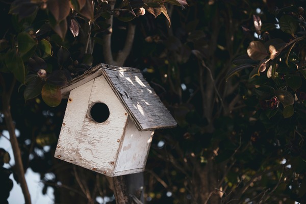 Add Country Charm to Your Garden with Rustic Bird Houses