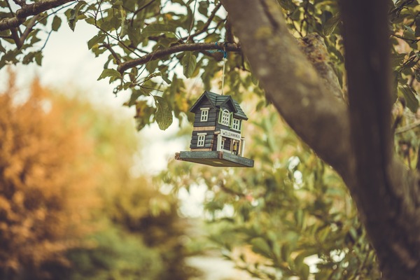 Harmonizing Wildlife with Aesthetics: The Beauty of Rustic Country Birdhouses