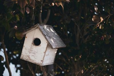 Add Country Charm to Your Garden with Rustic Bird Houses